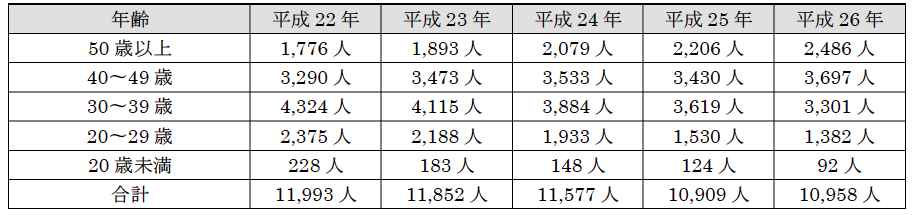 解説画像